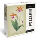 Calanthe Orchid 1000pz Puzzle